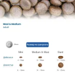 N&D Quinoa Skin&Coat Medium&Maxi Adult - суха храна за кучета за здрава кожа и козина, без зърно, с херинга,киноа, кокос и куркума, за средни и едри породи над 1 г.