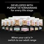 Purina Pro Plan Kitten Healthy Start - суха храна за малки котенца, с пилешко месо