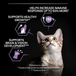 Purina Pro Plan Kitten Healthy Start - суха храна за малки котенца, с пилешко месо