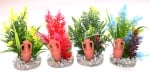 Растение Amfora Large 11см - различни цветове от Sydeco, Франция
