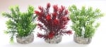 Растение Jungle Small 15см - различни цветове от Sydeco, Франция