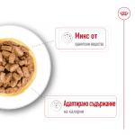 Royal Canin MINI AGEING - пауч за възрастни кучета над 7 години, 12x85g