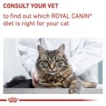 Royal Canin Feline Adult - пълноценна храна за израснали котки за поддържане на оптимално тегло и общото здраве