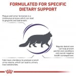 Royal Canin Feline Dental - лечебна храна за възрастни котки с орална чувствителност, 1.5 кг