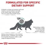 Royal Canin Feline Diabetic - лечебна храна за котки с диабет