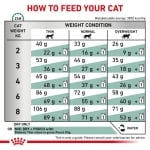 Royal Canin Feline Diabetic - лечебна храна за котки с диабет