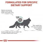 Royal Canin Feline Satiety Weight Management - лечебна храна за котки, за намаляване наднорменото тегло при котки със затлъстяване