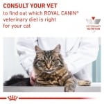 Royal Canin Feline Satiety Weight Management - лечебна храна за котки, за намаляване наднорменото тегло при котки със затлъстяване