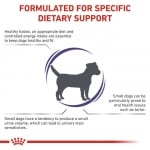 Royal Canin Canine Adult Small Dog - пълноценна храна за израснали кучета от малки породи