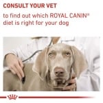 Royal Canin Calm - лечебна храна за кучета при стресови състояния, 4 кг