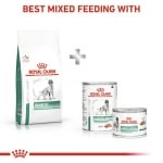 Royal Canin Diabetic  - лечебна храна за кучета при диабет