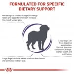 Royal Canin Canine Neutered Adult Large - пълноценна храна за израснали, кастрирани кучета от едри породи, 12 кг