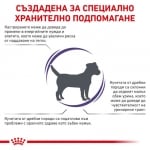 Royal Canin Canine Neutered  Adult Small Dog - пълноценна храна за израснали, кастрирани кучета от малки породи