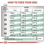 Royal Canin Satiety  Weight management -  лечебна храна за кучета при наднормено тегло и диабет