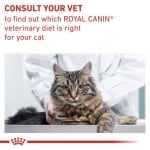 Royal Canin Feline Neutered Balance - лечебна храна за кастрирани котки, паучове, 12х85 г