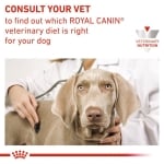 Royal Canin Canine Diabetic Special Low Carbohydrate - лечебна консервирана храна за кучета с диабет, с ниско съдържание на въгехидрати, 6х410 г