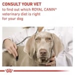 Royal Canin Neutered - лечебна храна за кастрирани кучета или с предразположеност към наддаване на тегло, 12х100 г