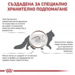 Royal Canin Feline Gastrointestinal Fiber Response - лечебна храна за котки при храносмилателни проблеми като колит и запек, с повишено съдържание на фибри