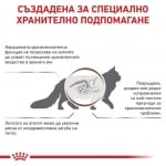 Royal Canin Feline Gastrointestinal - лечебна храна за котки при храносмилателни разстройства