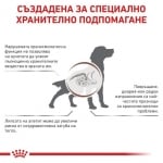 Royal Canin Gastro Intestinal - лечебна храна за кучета при храносмилателни разстройства