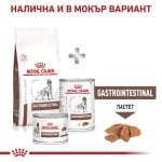 Royal Canin Gastro Intestinal - лечебна храна за кучета при храносмилателни разстройства