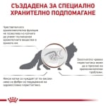 Royal Canin Feline Gastrointestinal Fiber - лечебна храна за котки, пауч при храносмилателни проблеми, 12х85 г