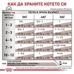 Royal Canin Feline Gastrointestinal Kitten - лечебна храна за котенца, пауч при храносмилателни проблеми, 12х85 г