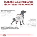 Royal Canin Gastrointestinal Low Fat - лечебна храна за кучета с храносмилателни проблеми