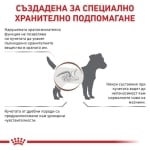 Royal Canin Gastrointestinal Low Fat Small Dog - лечебна храна за кучета с храносмилателни проблеми от малки и мини породи