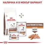 Royal Canin Gastrointestinal Low Fat Small Dog - лечебна храна за кучета с храносмилателни проблеми от малки и мини породи