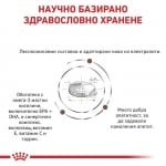 Royal Canin Feline Gastrointestinal Mod Calorie - лечебна храна за котки, пауч при стомашно-чревни чувствителности,  с умерено съдържание на калории, 12х85 г