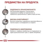 Royal Canin Feline Gastrointestinal - лечебна храна за котки, пауч при стомашно-чревни чувствителности, 12х85 г