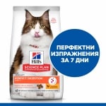 Hill's Science Plan Special Care Feline Adult Perfect Digestion -  суха храна за котки над 1 г., за добро храносмилане, с пилешко и кафяв ориз