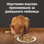 Hill's Prescription Diet Stew Feline c/d Multicare - лечебна консервирана храна за котки, при струвитни, калциево-оксалатни и калциево-фосфатни уролити, 16х82 г