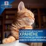 Hill's Prescription Diet Stew Feline c/d Multicare - лечебна консервирана храна за котки, при струвитни, калциево-оксалатни и калциево-фосфатни уролити, 16х82 г