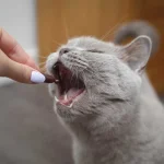 Vet Expert UrinoVet Cat Twist Off  - хранителна добавка за котки при проблеми с уринарния тракт, 45 капсули