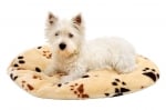 Възглавница за кучета, овална, различни размери