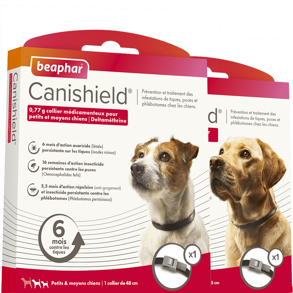 Beaphar Canishield - пръв помощник на кучето в борбата с паразитите