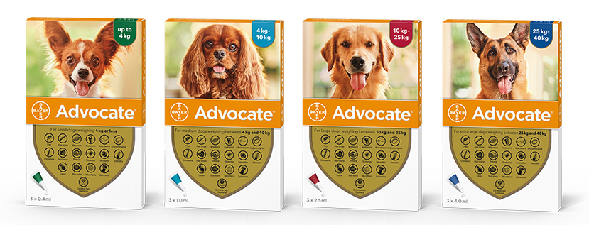 Advocate Dog | АДВОКЕЙТ за куче