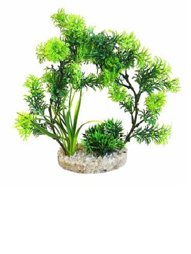 Изк.растение Arch Plants 21см, Sydeco, Франция