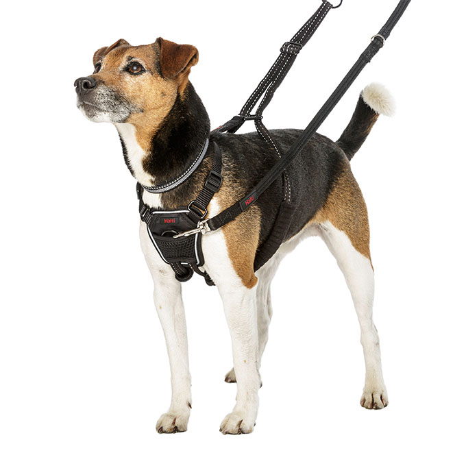 Нагръдник за кучета Halti No Pull Harness против дърпане