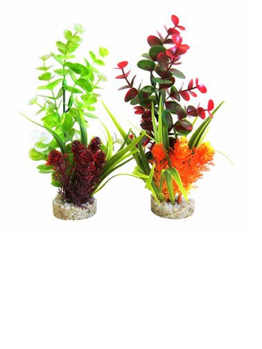 Растение Eucalyptus Bouquet 22см, Sydeco, Франция